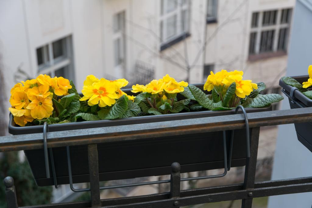 Decadent Art Deco Balcony Apartment In Old Town Praga Exterior foto